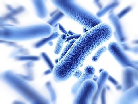 C. Difficile Colitis Klein